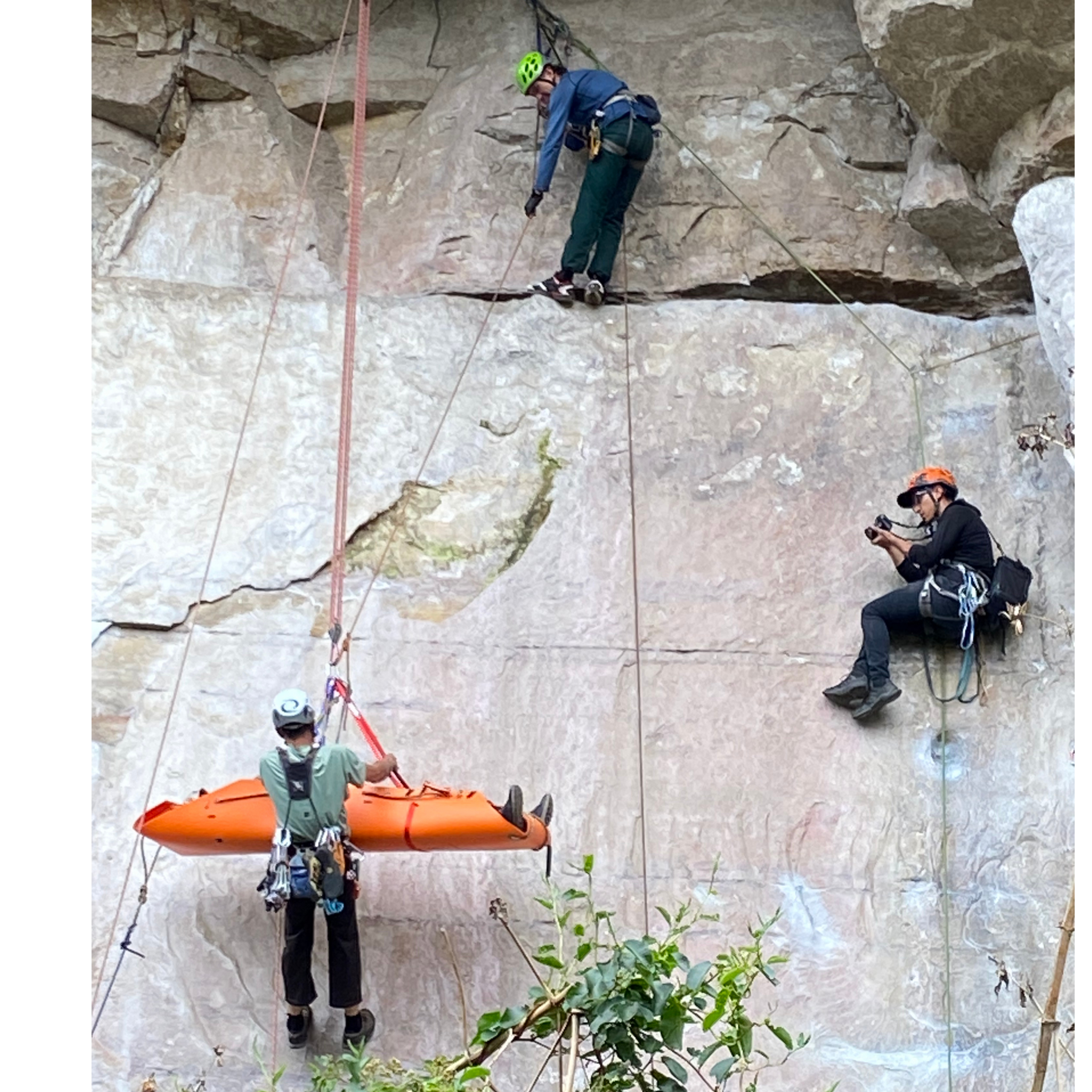 Tres rescatistas ejecutando maniobra de rescate vertical con sistema de cuerdas y equipo técnico profesional